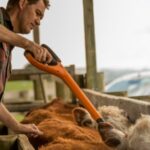 Gallagher Bastón para identificación HR5