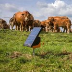 Electrificador Solar S200 Gallagher